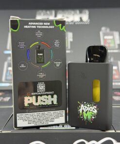 Push 2G Disposable With Screen