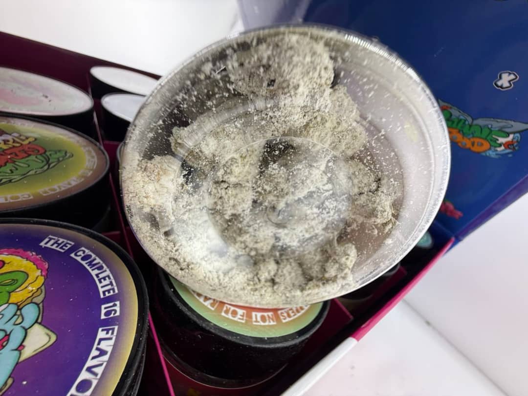 Persy Mini Snowballs X Sweet Exotics UK Persy Mini Snowballs X Sweet Exotics UK