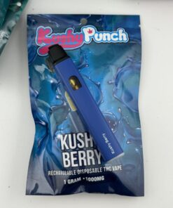 Kushy Punch 1G Disposable