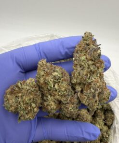 Chemlatto Weed Strain