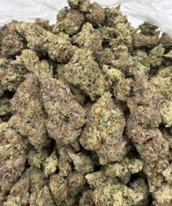 Chemlatto Weed Strain