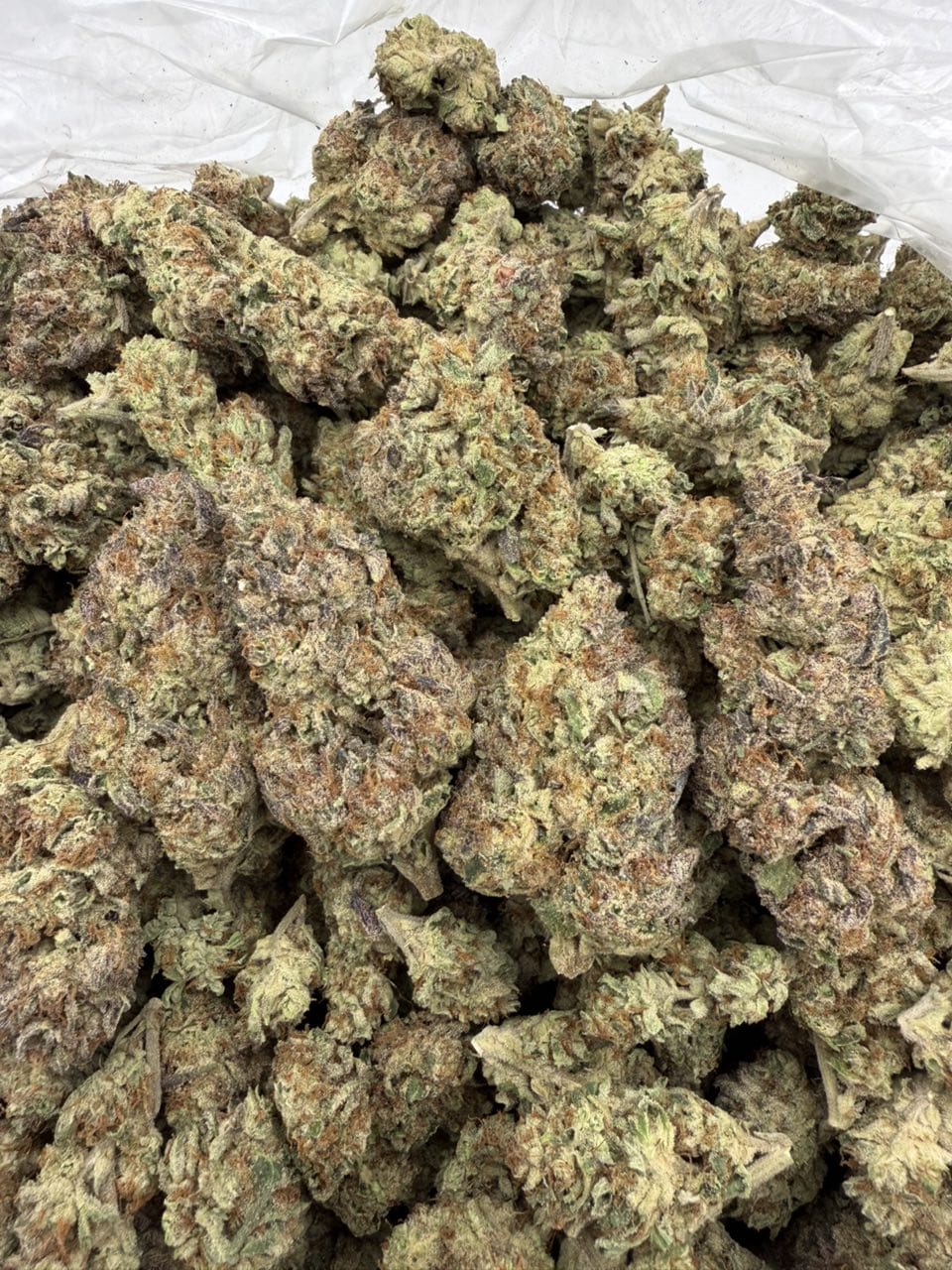 Chemlatto Weed Strain Chemlatto Weed Strain