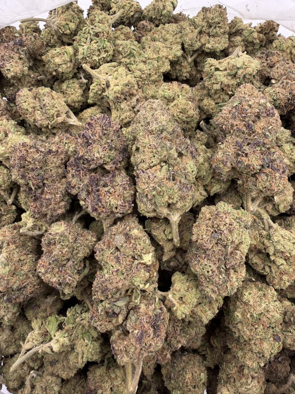 Candy Slushie Strain Candy Slushie Strain