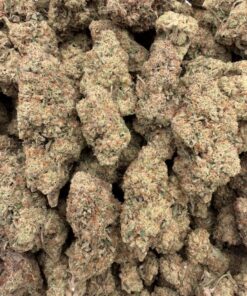 Gas Fuel Weed Strain