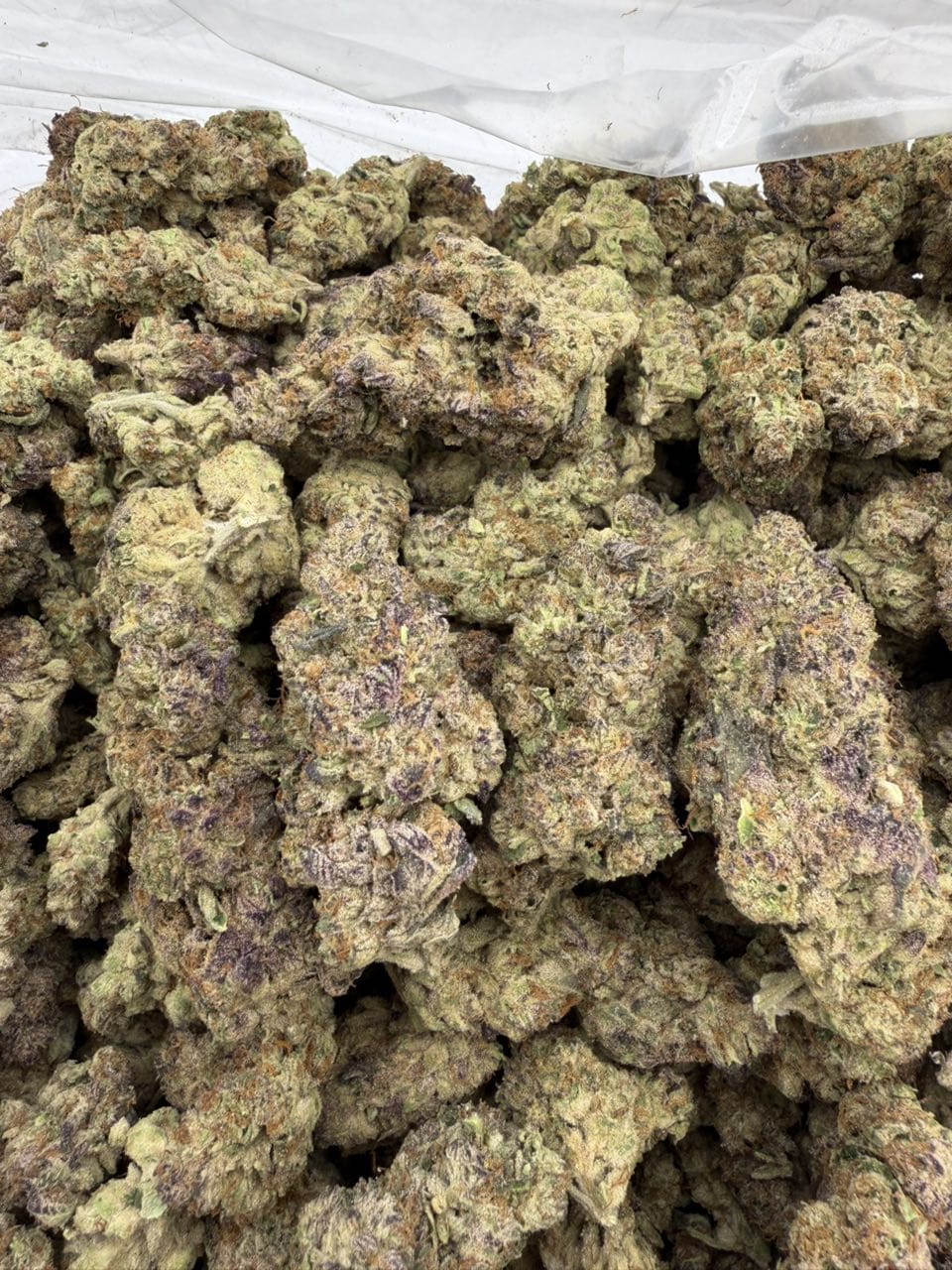 Purple Milk Strain UK Purple Milk Strain UK