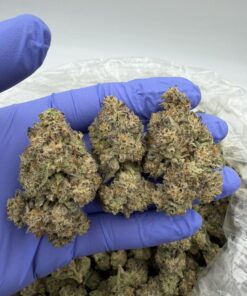 Vanilla Frosting Strain