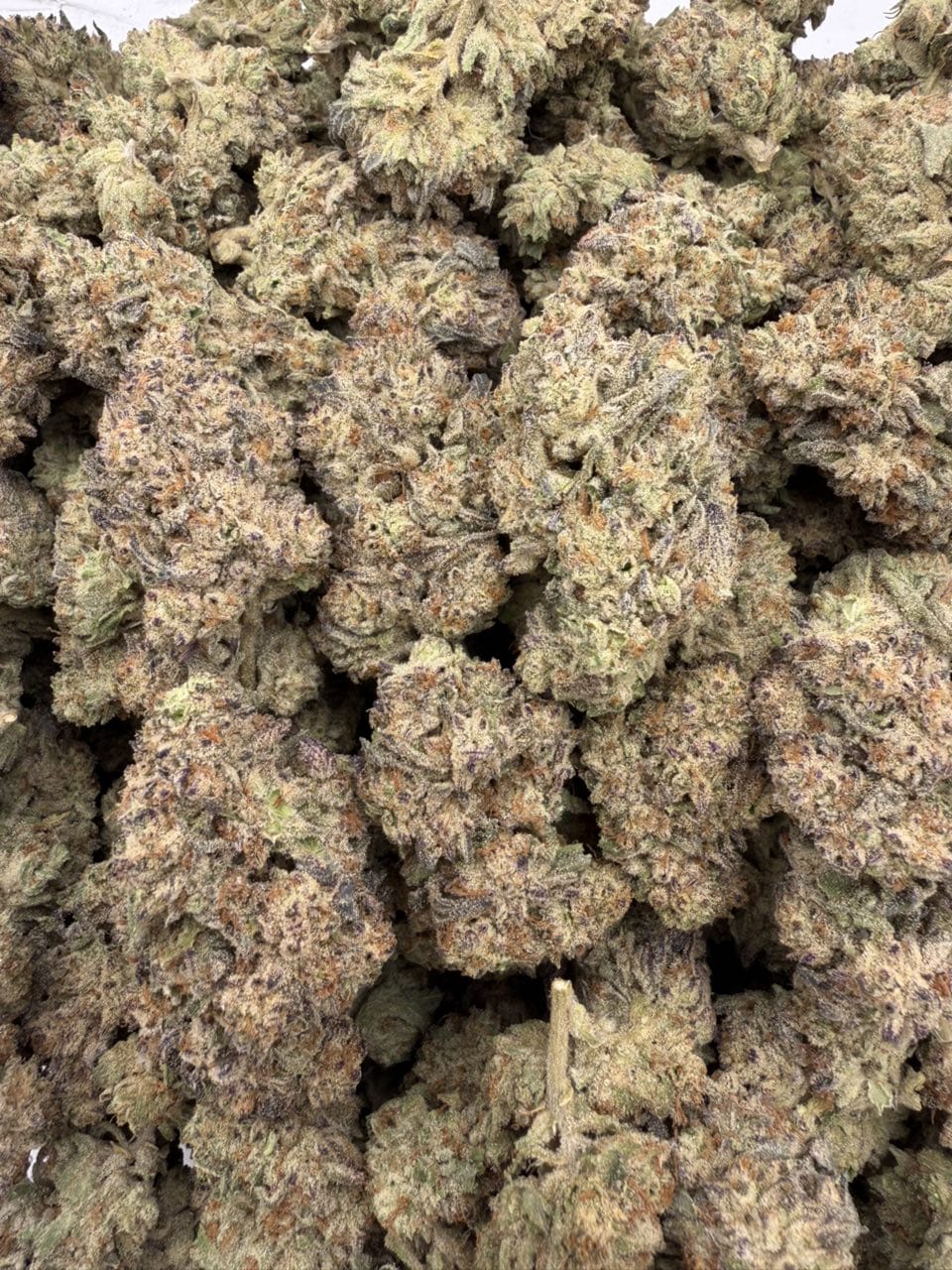 Vanilla Frosting Strain Vanilla Frosting Strain