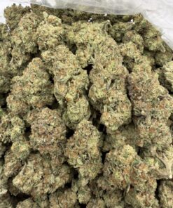 Blueberry OG Weed Strain