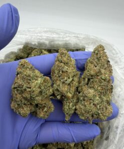 Blueberry OG Weed Strain