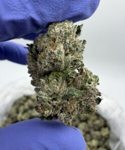 Candy Bx Weed Strain