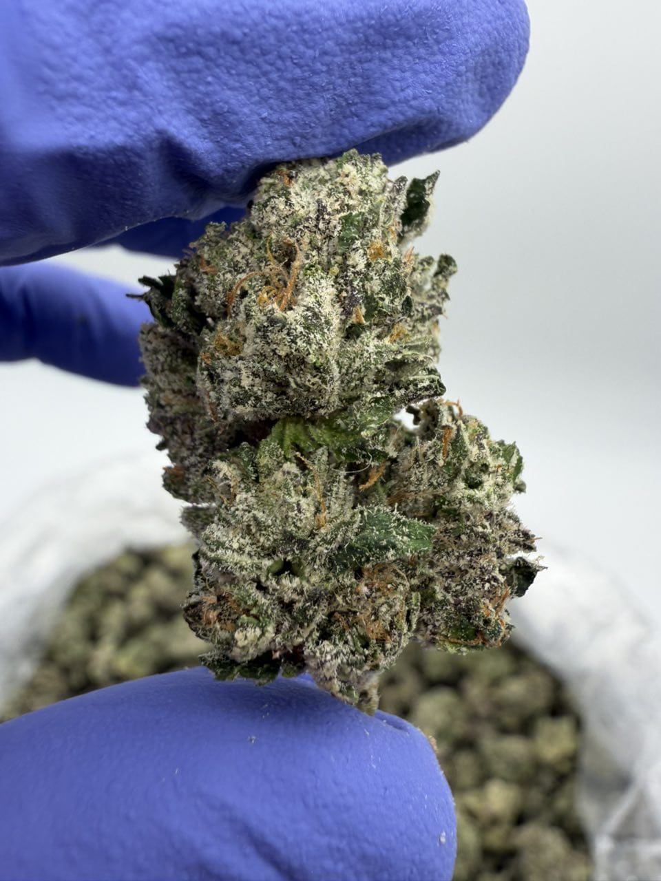 Candy Bx Weed Strain Candy Bx Weed Strain