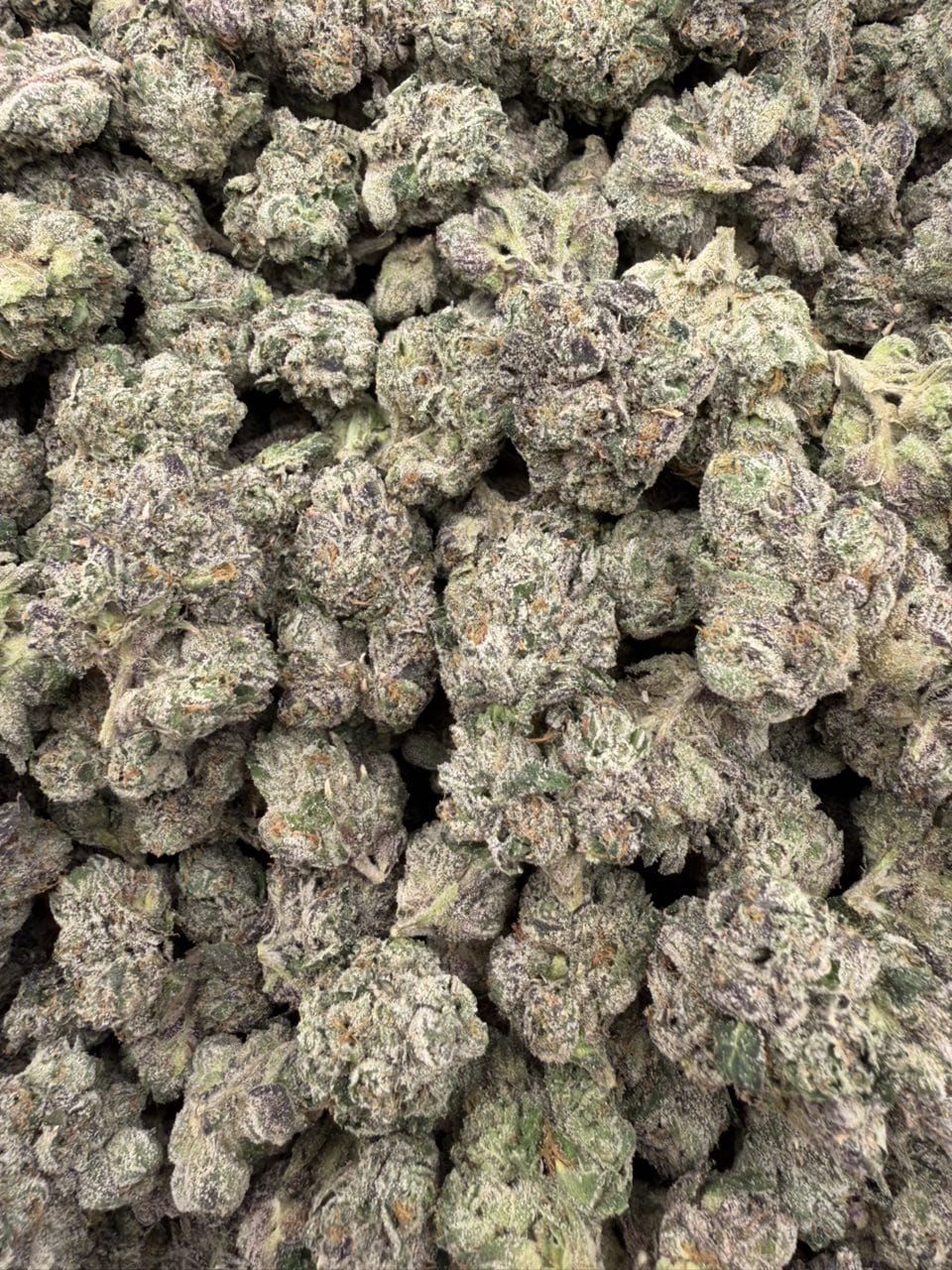 Candy Bx Weed Strain Candy Bx Weed Strain