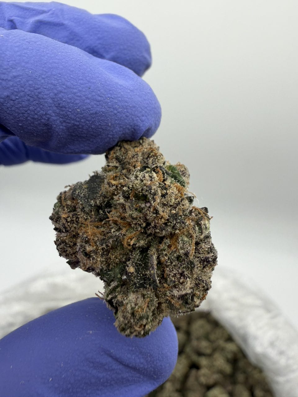 Cherry Yuzu Strain Cherry Yuzu Strain