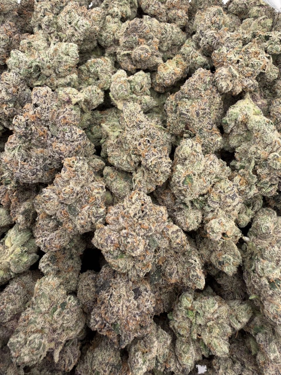 Cherry Yuzu Strain Cherry Yuzu Strain