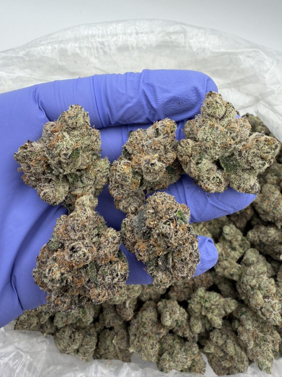 Cherry Yuzu Strain Cherry Yuzu Strain