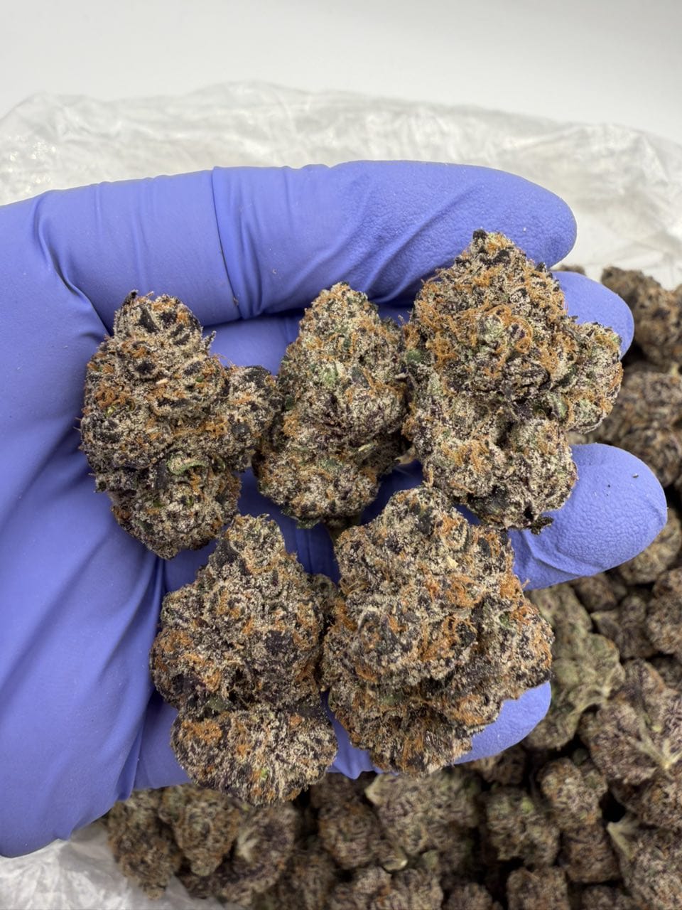 Pink Nerdz Weed Strain Pink Nerdz Weed Strain