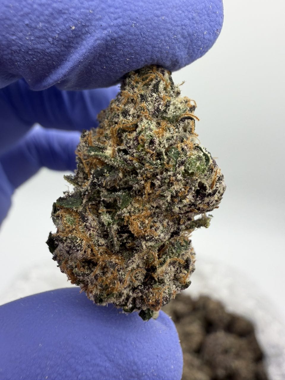 Pink Nerdz Weed Strain Pink Nerdz Weed Strain