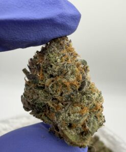 Lemon Headz strain