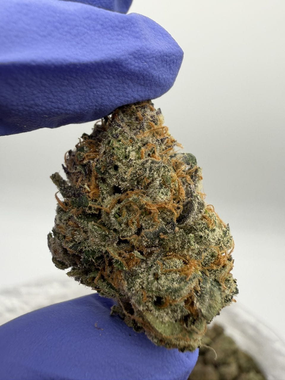 Lemon Headz strain Lemon Headz strain