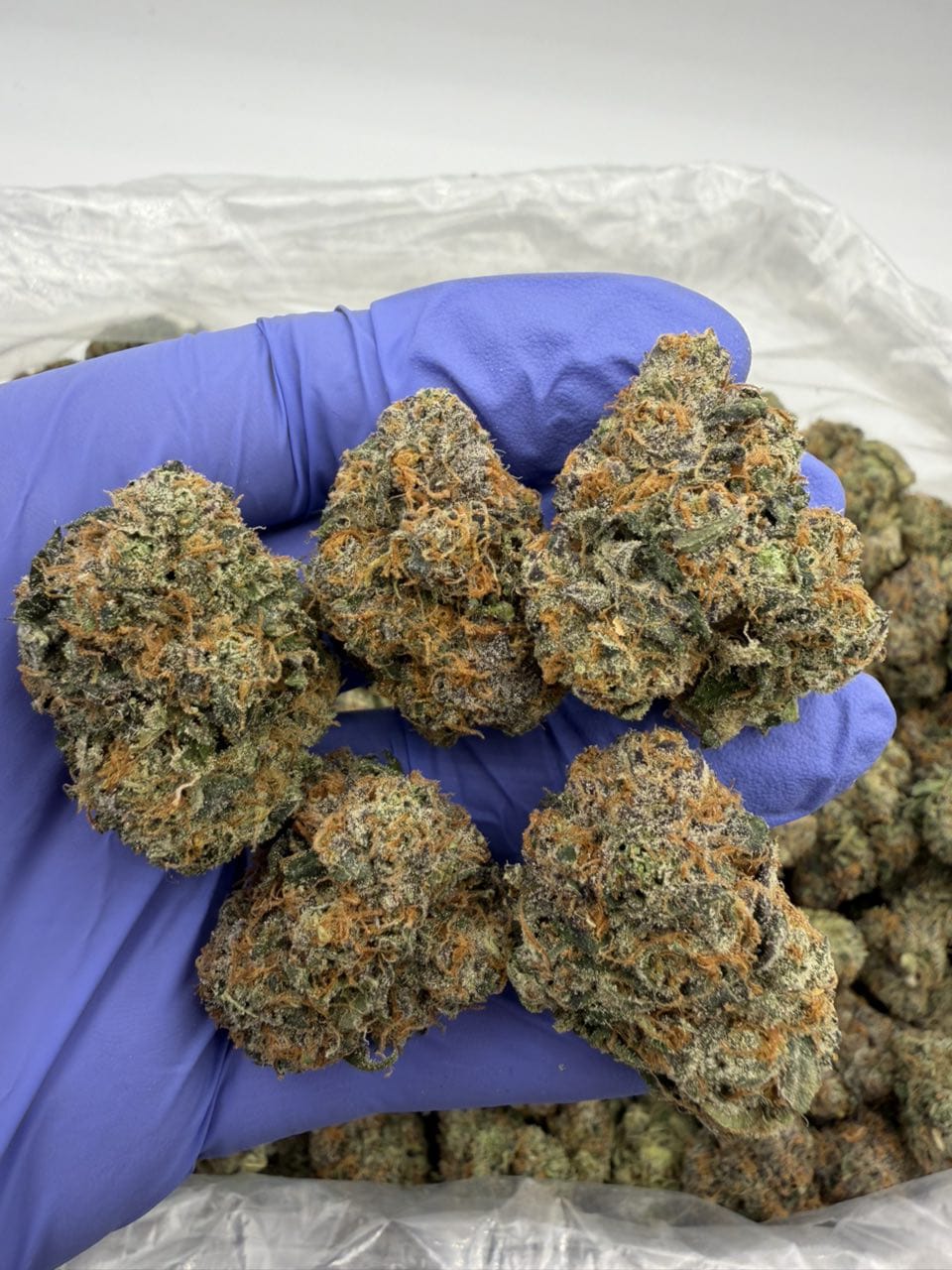 Lemon Headz strain Lemon Headz strain